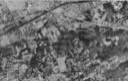Aerial Photo - Upper Gulph Area 1959 (Image courtesy of the DVRPC)