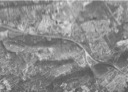 Aerial Photo - Gulph Mills 1980 (Image courtesy of the DVRPC)