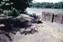 Archeological Dig at Catfish Dam, 1974.