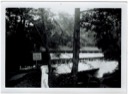 Knox Covered Bridge (By kind permission of the Loughin Family)