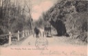 Postcard of Hanging Rock near Gulph Mills, c. 1900.