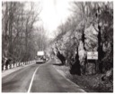 Hanging Rock, 1954.