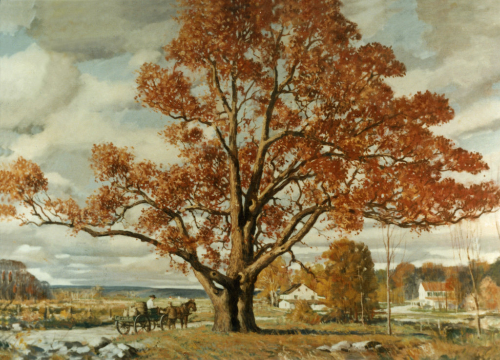 Drinker Oak 08 by John Peirce
